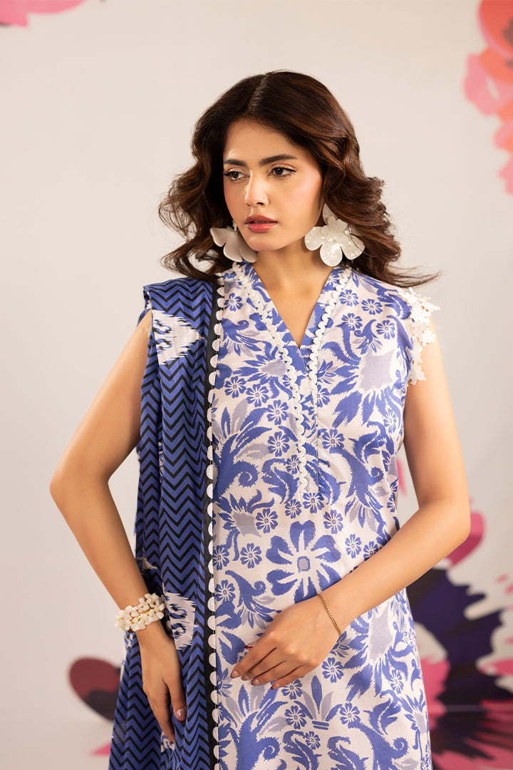 Paltar zauq pf012629